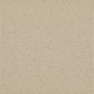 BAZO BEIGE GRES SOL-PIEPRZ MAT. 19,8X19,8