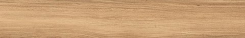 MOUNTAIN ASH CORAL STR 19X119,8 MOUNTAIN ASH CORAL STR 19X119,8