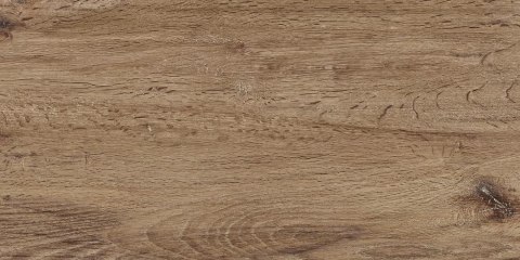 SIENA MARRONE 30x60 SIENA MARRONE 30x60