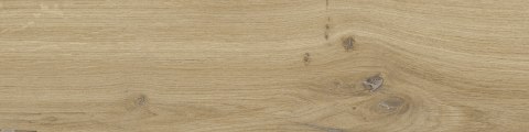 DUBLIN BEIGE GRES MAT. 15,5X62 DUBLIN BEIGE GRES MAT. 15,5X62