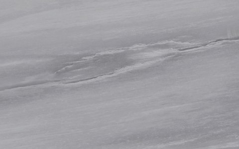 SILVANA GREY 25X40 SILVANA GREY 25X40