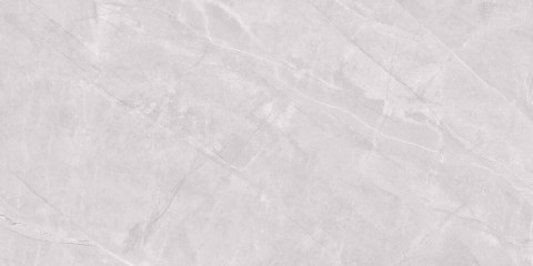 TIGRINA LIGHT GREY POLER 60X120