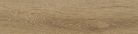 CANADIAN BEIGE MAT. 15,5X62