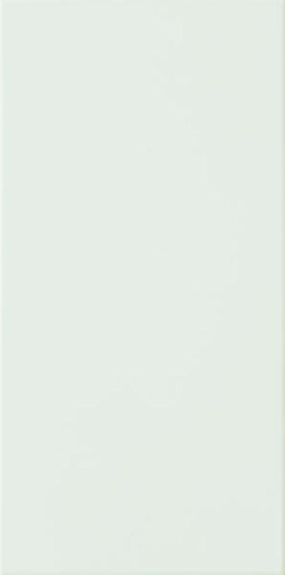 DELICE MINT 44,8X22,3