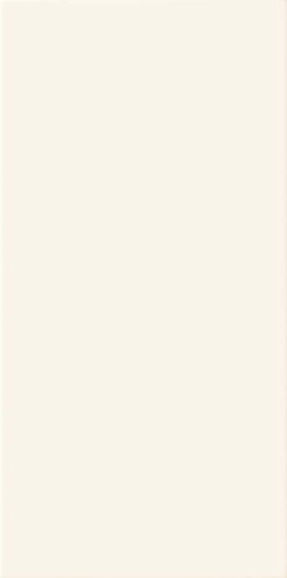 DELICE WHITE 44,8X22,3