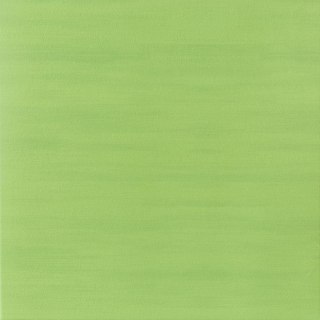 TANGO GREEN 45X45