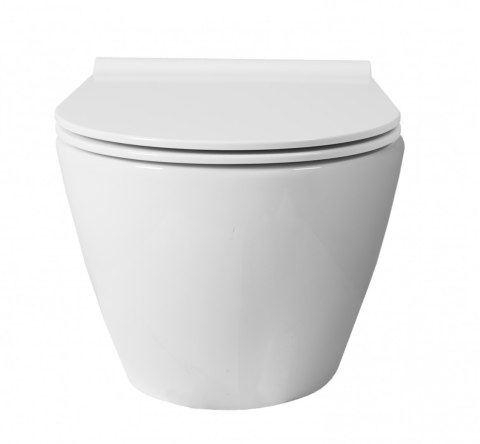Rimless Wall-Hung Toilet Bowl Carter N2