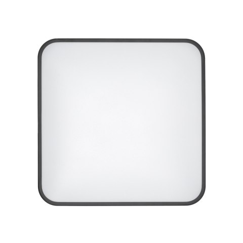 Plafony - AGNES SQUARE LED