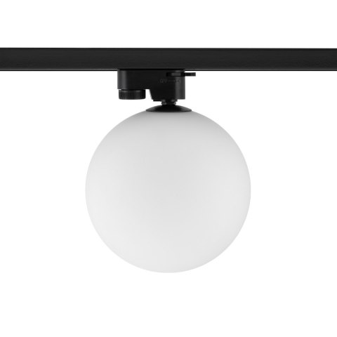 Lampy - PROFILE SNOWBALL