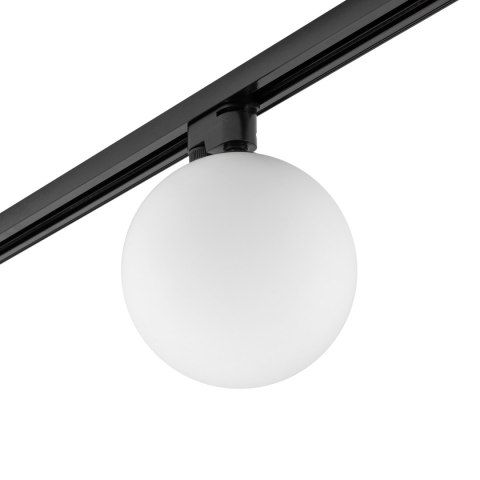 Lampy - PROFILE SNOWBALL