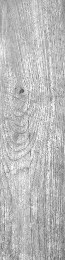 FORESTA GRIGIO 15,5x60,5 FORESTA GRIGIO 15,5x60,5