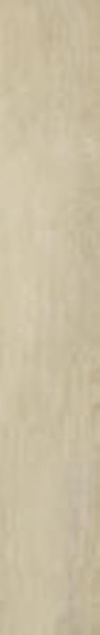 ROBLE BEIGE GRES SZKL. REKT. MAT. 19,8X119,8 ROBLE BEIGE GRES SZKL. REKT. MAT. 19,8X119,8