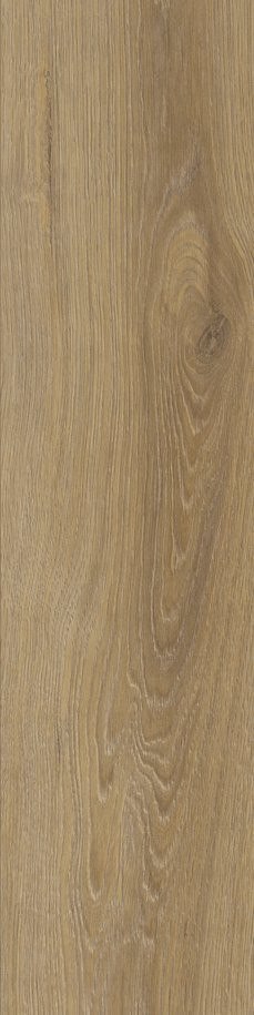 CANADIAN BEIGE MAT. 15,5X62