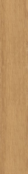 CLASSICA BEIGE GRES REKT. MAT. 9,2X60 CLASSICA BEIGE GRES REKT. MAT. 9,2X60