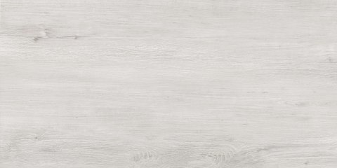 CORINA SOFT GREY RETT. CCR23-1 30x60 CORINA SOFT GREY RETT. CCR23-1 30x60