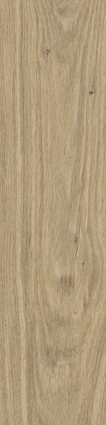 DUBLIN BEIGE GRES MAT. 15,5X62 DUBLIN BEIGE GRES MAT. 15,5X62