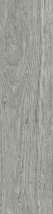 DUBLIN SOFT GREY GRES MAT. 15,5X62