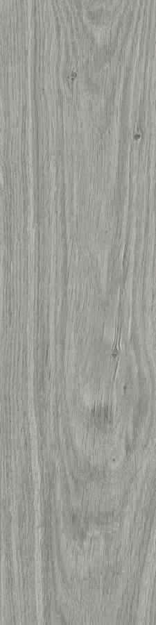 DUBLIN SOFT GREY GRES MAT. 15,5X62