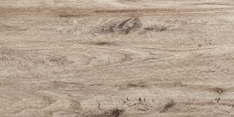 SIENA BEIGE 31X62