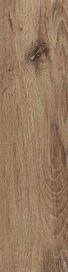 SIENA MARRONE 15,5X62
