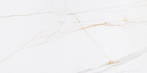 CORIENTO GOLD MAT GRS.376B.M 120X60 CORIENTO GOLD MAT GRS.376B.M 120X60