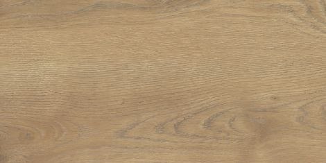 TAIGA HONEY GRES SZKL. 31X62