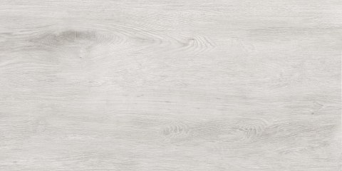 CORINA SOFT GREY RETT. CCR23-1 30x60 CORINA SOFT GREY RETT. CCR23-1 30x60
