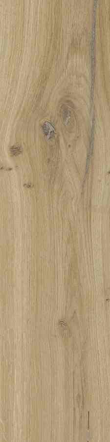 DUBLIN BEIGE 15,5X62