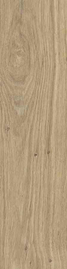 DUBLIN BEIGE 15,5X62