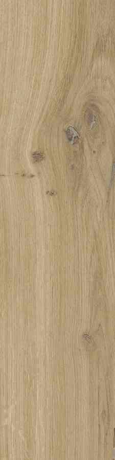DUBLIN BEIGE 15,5X62