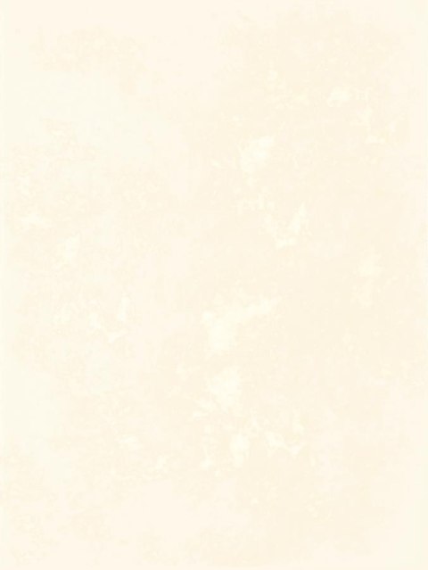 TANI BEIGE SCIANA 25X33,3 TANI BEIGE SCIANA 25X33,3